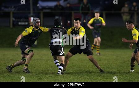 L4landeilo RFC v Cefneithin RFC 2023 WRU Ouest 3b Banque D'Images