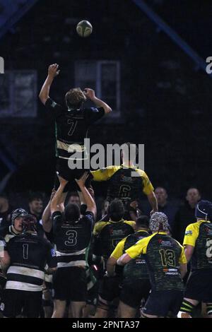 L4landeilo RFC v Cefneithin RFC 2023 WRU Ouest 3b Banque D'Images