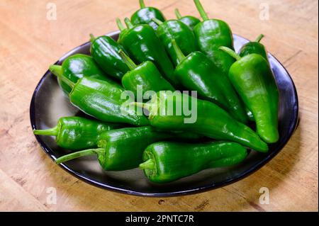 Pementos doux au poivre de padron vert frais, prêts à griller ou à frire avec de l'huile d'olive, en-cas traditionnel en Galice, Espagne. Banque D'Images