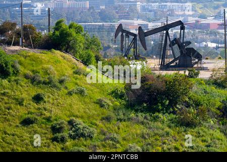 Inglewood, Californie, États-Unis. 19th avril 2023. Les citrouilles à pétrole extraient du pétrole brut du champ pétrolifère d'Inglewood. Los Angeles abrite le plus grand nombre de puits de pétrole urbains au monde, certains des plus anciens puits de pétrole du pays étant en exploitation à travers Inglewood, long Beach et Beverly Hills, ce qui a des effets notables sur la santé publique. La ville de Los Angeles et le comté de Los Angeles ont tous deux voté pour interdire la production de pétrole et éliminer progressivement l'Inglewood Oil Field.Oil est un combustible fossile formé à partir des restes d'organismes marins anciens. C'est une source importante d'énergie pour le monde, et est utilisé pour produire electri Banque D'Images