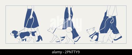 Un homme marche un chien sur une laisse. Différentes races de chiens lors d'une promenade. Spectacle de chiens ou promenade en ville ou dans le parc. Graphiques vectoriels à contour plat. Illustration de Vecteur