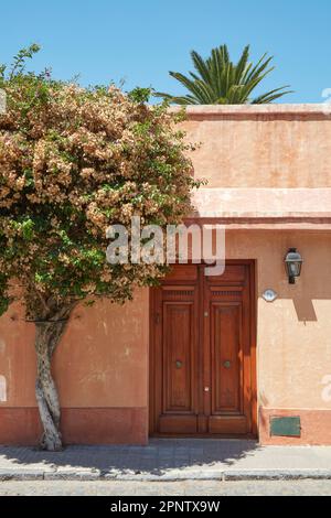 Un arbre de Bougainvillea en face d'une maison d'architecture coloniale de Colonia del Sacramento, Uruguay. Banque D'Images