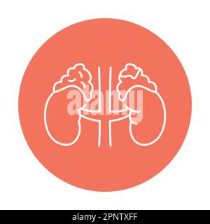 Icône de la ligne de couleur du syndrome de cortisol Сushing. Maladies humaines. Pictogramme pour page Web, application mobile, Promo. Illustration de Vecteur