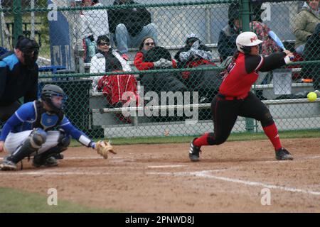 SLU Softball contre Bradley (Braves) et Northern Illinois (Huskies) Banque D'Images