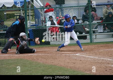 SLU Softball contre Bradley (Braves) et Northern Illinois (Huskies) Banque D'Images