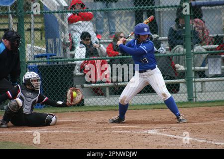 SLU Softball contre Bradley (Braves) et Northern Illinois (Huskies) Banque D'Images