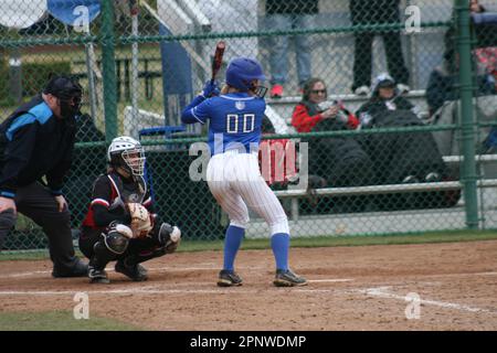 SLU Softball contre Bradley (Braves) et Northern Illinois (Huskies) Banque D'Images