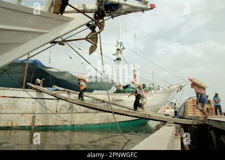 Les travailleurs transportent des sacs de ciment d'un camion sur un navire phinisi au port traditionnel de Sunda Kelapa à Penjaringan, dans le nord de Jakarta, à Jakarta, en Indonésie. Le changement climatique exposera de plus en plus les travailleurs extérieurs au stress thermique et à la réduction de la capacité de main-d'œuvre, selon le rapport de 2023 publié par le Groupe d'experts intergouvernemental sur l'évolution du climat (GIEC), intitulé "changement climatique 2022: Impacts, adaptation et vulnérabilité". Selon le rapport, les solutions recommandées pour la gestion de l'exposition à la chaleur chez les travailleurs en plein air comprennent une protection de base améliorée (y compris l'ombre et les pauses prévues), ... Banque D'Images