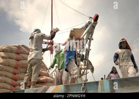 Les travailleurs transportent des sacs de ciment d'un camion sur un navire phinisi au port traditionnel de Sunda Kelapa à Penjaringan, dans le nord de Jakarta, à Jakarta, en Indonésie. Le changement climatique exposera de plus en plus les travailleurs extérieurs au stress thermique et à la réduction de la capacité de main-d'œuvre, selon le rapport de 2023 publié par le Groupe d'experts intergouvernemental sur l'évolution du climat (GIEC), intitulé "changement climatique 2022: Impacts, adaptation et vulnérabilité". Selon le rapport, les solutions recommandées pour la gestion de l'exposition à la chaleur chez les travailleurs en plein air comprennent une protection de base améliorée (y compris l'ombre et les pauses prévues), ... Banque D'Images