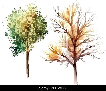 Aquarelle arbre main dessiner vecteur nature peinture Illustration de Vecteur