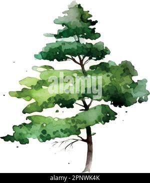 Aquarelle arbre main dessiner vecteur nature peinture Illustration de Vecteur