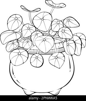 Pilea chinese Money Plant art de ligne Illustration de Vecteur