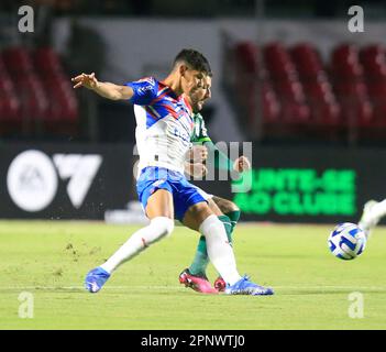 Sao Paulo, Brésil. 20th avril 2023. Lors d'un match entre Palmeiras et Cerro Porteno à Morumbi à Sao Paulo, Brésil (Fernando Roberto/SPP) crédit: SPP Sport photo de presse. /Alamy Live News Banque D'Images