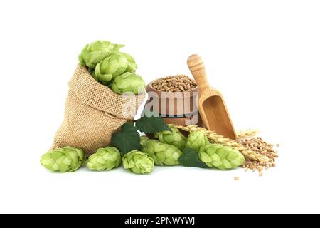 Des cônes de houblon vert frais avec des feuilles qui débordent d'un sac hessien près des graines de blé et de la pelle en bois, composants de la production de bière isolés sur W Banque D'Images