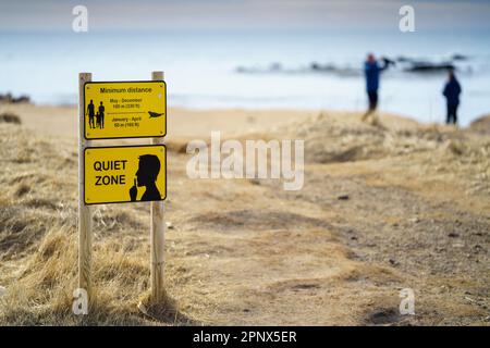 Panneaux d'avertissement jaunes, zone tranquille et gardez votre distance affichée à la plage Ytri Tunga dans la péninsule de Snæfellsnes, Islande. Banque D'Images