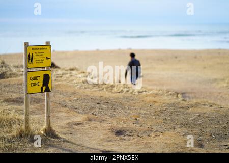 Panneaux d'avertissement jaunes, zone tranquille et gardez votre distance affichée à la plage Ytri Tunga dans la péninsule de Snæfellsnes, Islande. Banque D'Images