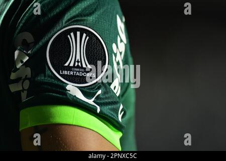 20 avril 2023, São Paulo, Sao Paulo, Brésil, Brésil: SAO PAULO, BRÉSIL - AVRIL 20: Match du maillot de détail de Palmeiras entre Palmeiras et Cerro Porteño dans le cadre du Groupe C du Conmebol Libertadores 2023 au stade Morumbi sur 20 avril 2023, à São Paulo, Brésil. (Credit image: © Leandro Bernardes/PX Imagens via ZUMA Press Wire) USAGE ÉDITORIAL SEULEMENT! Non destiné À un usage commercial ! Banque D'Images