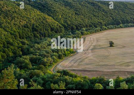 Paysage agricole de printemps glissant automne. Paysage naturel en couleur marron et jaune. Champ de rangée cultivé ondulé et arbre. Bande ondulant UNR Banque D'Images