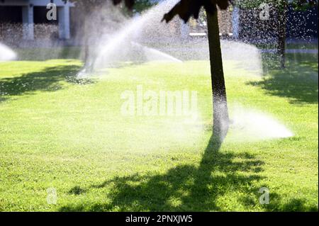 Prairie herbacée vert vif avec arbres et irrigation de jardin par temps ensoleillé le jour d'été Banque D'Images