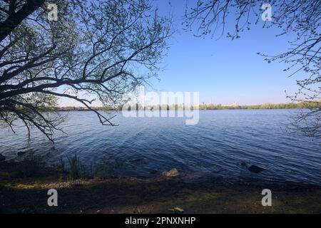 Des arbres au bord du lac au coucher du soleil encadrent un complexe industriel sur la rive opposée au loin Banque D'Images