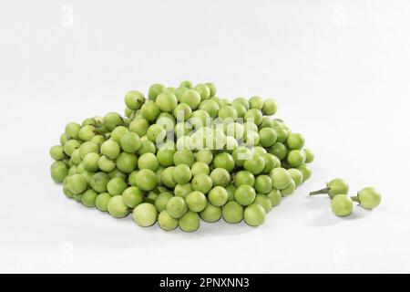 Aubergine verte minuscule sauvage sur fond blanc. Solanum paniculatum, Banque D'Images