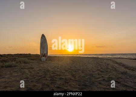planche à voile coincée dans la plage de sable à la mer rouge en égypte après le lever du soleil Banque D'Images