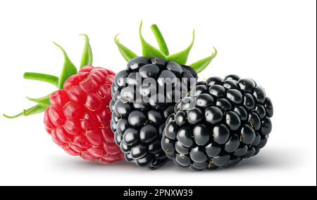 Baies isolées deux mûres et un seul framboise de fruits isolés sur fond blanc avec un chemin d'écrêtage Banque D'Images