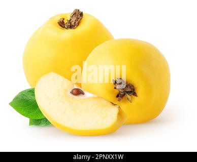 Coing isolé. Deux fruits de coing entiers et un morceau isolé sur fond blanc avec un chemin d'écrêtage Banque D'Images