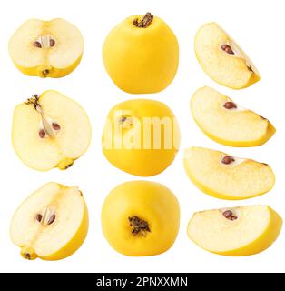 Collection de coings isolés. Morceaux de fruits de Quince de différentes formes isolés sur fond blanc Banque D'Images