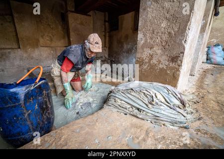 Ouvrier dans les tanneries de Fès manipulant des peaux à l'intérieur d'une piscine, pour le bronzage. Banque D'Images