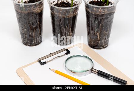 Une tasse en plastique recyclé avec une épée de cotyledon en pleine croissance, un crayon et une loupe sur un presse-papiers Banque D'Images