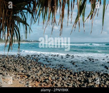 Magnifique vue sur la côte à Burleigh Heads sur la Gold Coast Banque D'Images