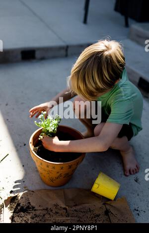 Huit ans plantant des fleurs pour le printemps à San Diego Banque D'Images