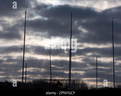 Ciel couvert sombre et luisant, gamme abstraite de mâts de yachts et de gréement au lever du soleil à Abingdon Marina près de la Tamise. Banque D'Images