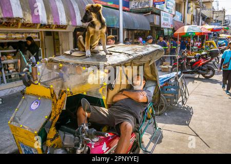 Tuk Tuk , conducteur dormant dans un taxi, comme chien se tient garde sur le toit. Scènes de rue dans la capitale de Manille, Philippines. La zone appelée Intram Banque D'Images