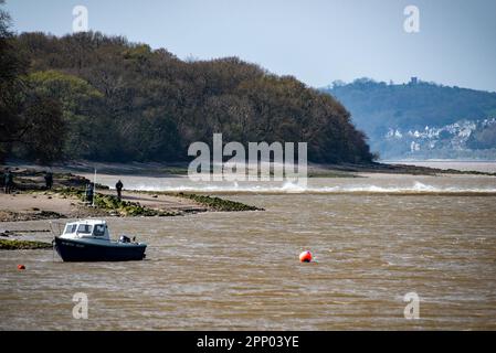 Arnside, Milnthorpe, Cumbria, Royaume-Uni le marémotrice Arnside monte l'estuaire du Kent à Arnside, Milnthorpe, Cumbria, Royaume-Uni. Crédit : John Eveson/Alamy Live News Banque D'Images