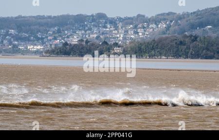 Arnside, Milnthorpe, Cumbria, Royaume-Uni le marémotrice Arnside monte l'estuaire du Kent à Arnside, Milnthorpe, Cumbria, Royaume-Uni. Crédit : John Eveson/Alamy Live News Banque D'Images