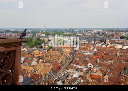 Vue panoramique sur Strassbourg, Alsace, France Banque D'Images
