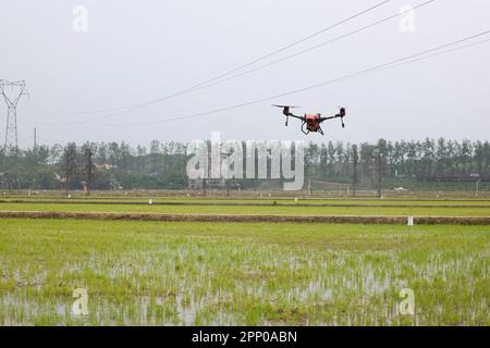 Yiyang, province chinoise du Hunan. 21st avril 2023. Un drone pulvérise des pesticides au-dessus d'un champ dans le village de Zhongtang, dans le district de Heshan, à Yiyang, dans la province du Hunan, au centre de la Chine, sur 21 avril 2023. Les machines Agricultural telles que le transplantoir à riz, le motoculteur rotatif et les drones ont contribué à rationaliser le labour à ressort ici. Credit: Xue Yuge/Xinhua/Alay Live News Banque D'Images