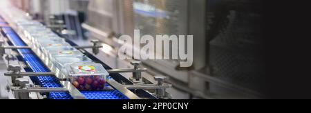 Les boîtes de produits alimentaires sont transférées sur des systèmes de convoyeurs automatisés automatisation industrielle pour l'emballage, l'espace de copie Banque D'Images