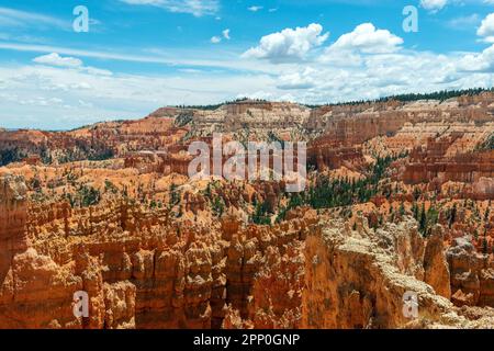 Bryce Canyon avec formations rocheuses hoodoo en été, parc national de Bryce Canyon, Utah, États-Unis. Banque D'Images