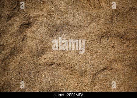 Sable de la plage Banque D'Images