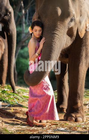Jolie fille en costumes traditionnels thaïlandais dans le tronc de l'éléphant câlin avec amour. Banque D'Images
