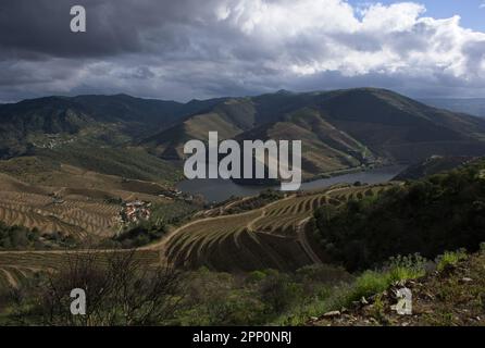 Paysages merveilleux au Portugal. Magnifique paysage de Miradouro Rota do Douro. Vue sur la vallée. Balcon au point de vue. Jour de printemps ensoleillé. Sélectionnez Banque D'Images