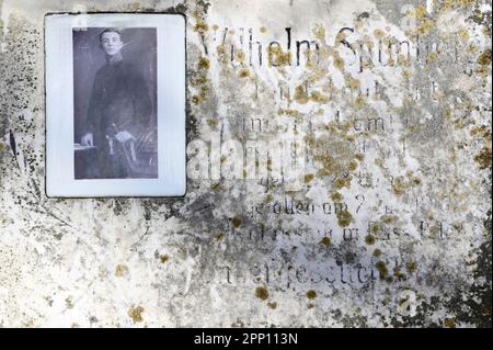 Vienne, Autriche. Cimetière central de Vienne. Tombes de soldats tombés de la première Guerre mondiale Banque D'Images