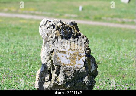 Vienne, Autriche. Cimetière central de Vienne. Tombes de soldats tombés de la première Guerre mondiale Banque D'Images