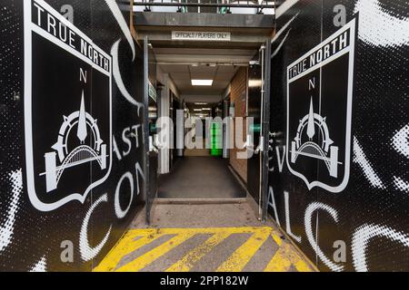 Newcastle, Royaume-Uni. 21st avril 2023. Le tunnel de Kingston Park est photographié avant le match de la première Gallagher entre Newcastle Falcons et Northampton Saints à Kingston Park, Newcastle, le vendredi 21st avril 2023. (Photo : Chris Lishman | MI News) Credit : MI News & Sport /Alay Live News Banque D'Images