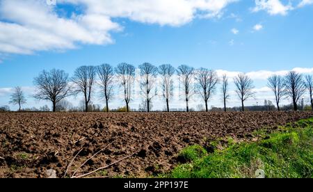 Paysage rural près de Bronckhorst, pays-Bas Banque D'Images