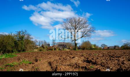 Paysage rural près de Bronckhorst, pays-Bas Banque D'Images