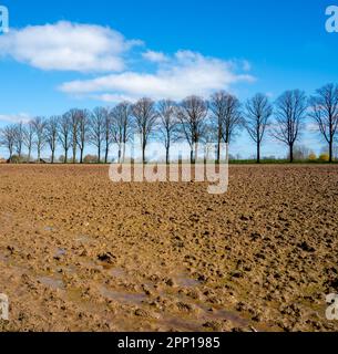 Paysage rural près de Bronckhorst, pays-Bas Banque D'Images